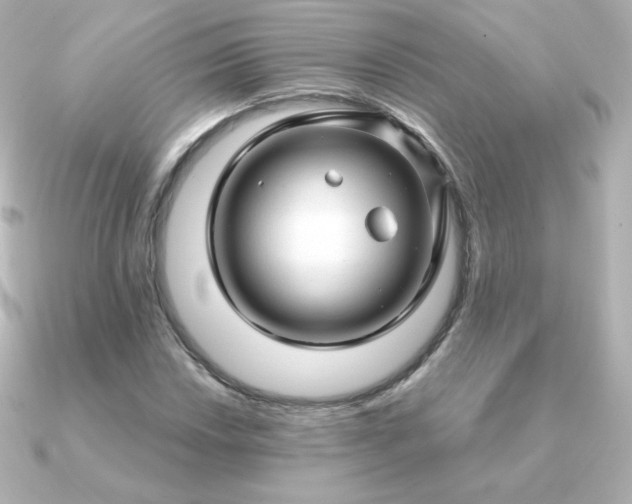 X0000090891018200708101358