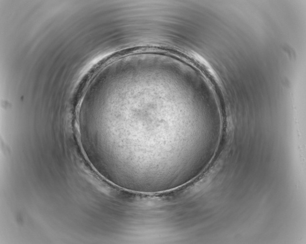 X0000090891019200708101358