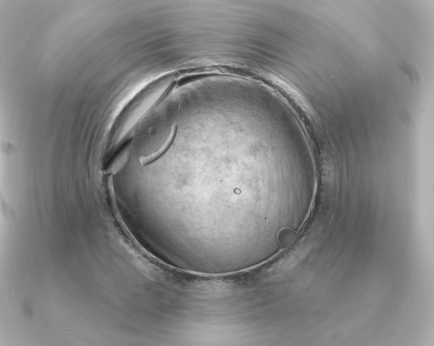 X0000090891023200708101358