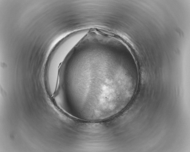 X0000090891024200708101358