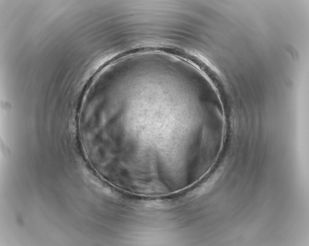 X0000090891025200708101358