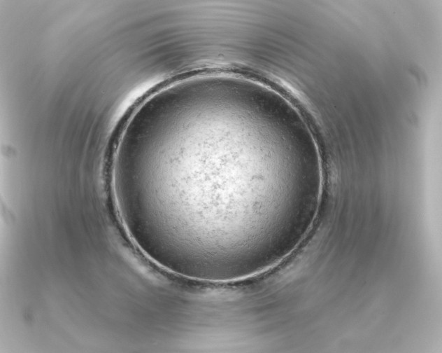 X0000090891026200708101358