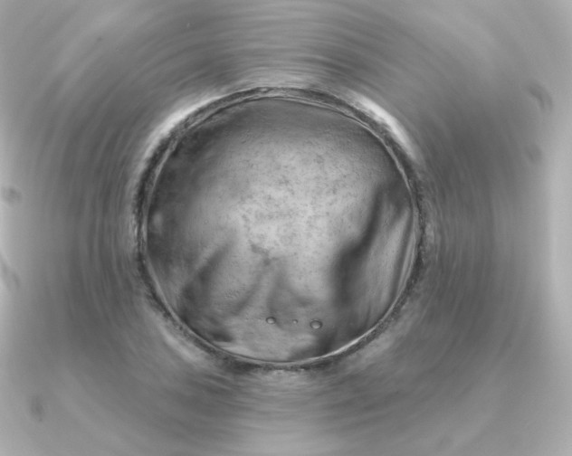 X0000090891027200708101358