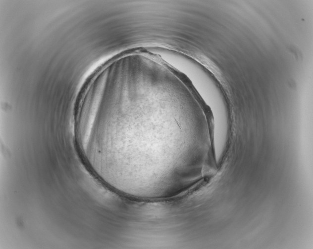 X0000090891028200708101358