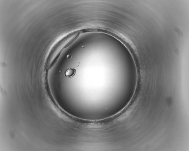 X0000090891029200708101359