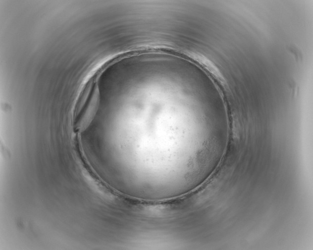 X0000090891031200708101359