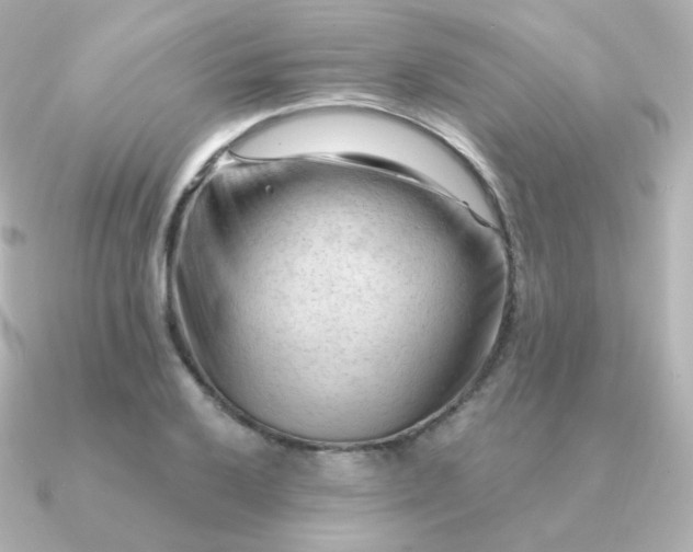 X0000090891032200708101359