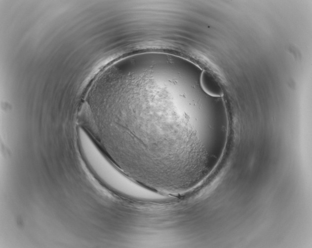 X0000090891033200708101359