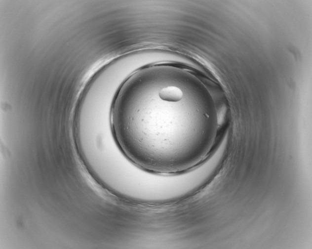 X0000090891034200708101359