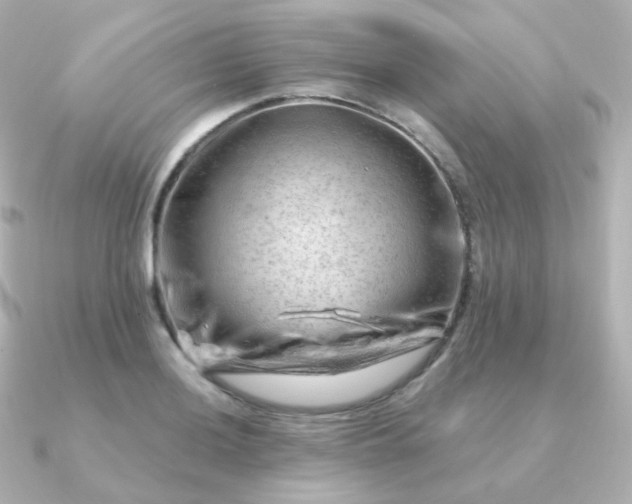 X0000090891036200708101359