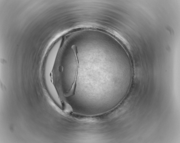 X0000090891037200708101359