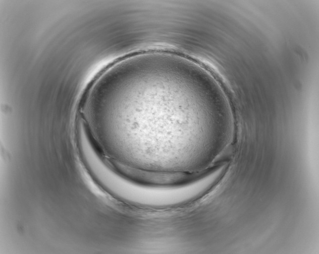 X0000090891038200708101359