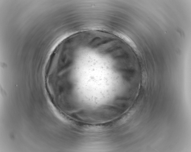 X0000090891039200708101359