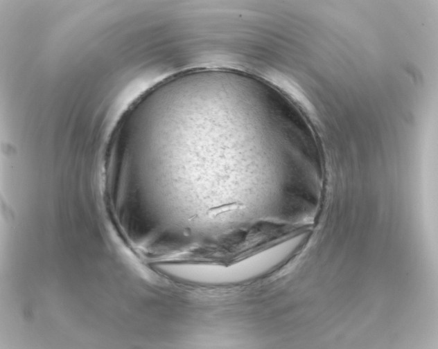 X0000090891040200708101359