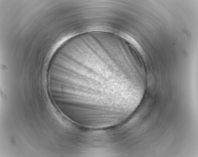 X0000090891043200708101359