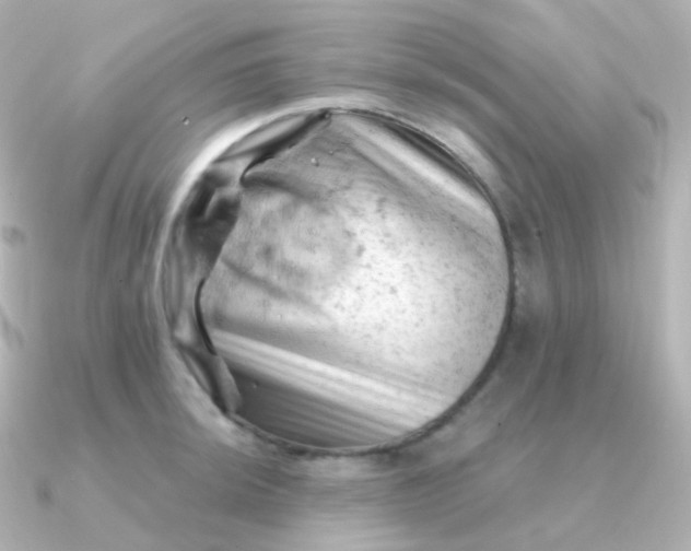 X0000090891044200708101359