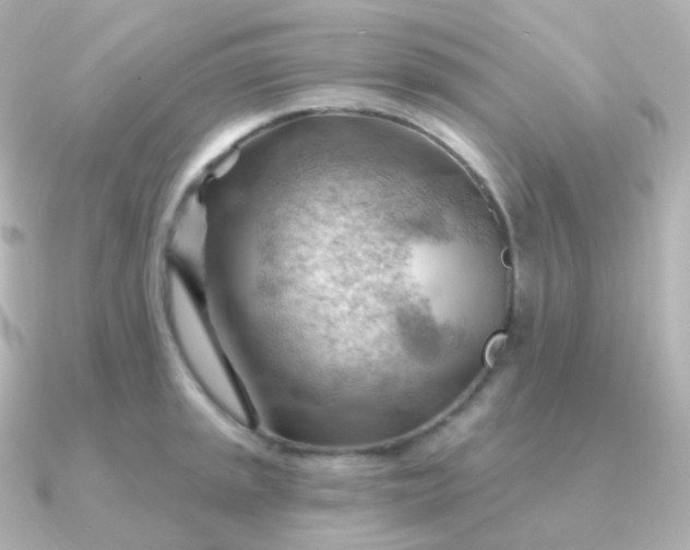 X0000090891045200708101359