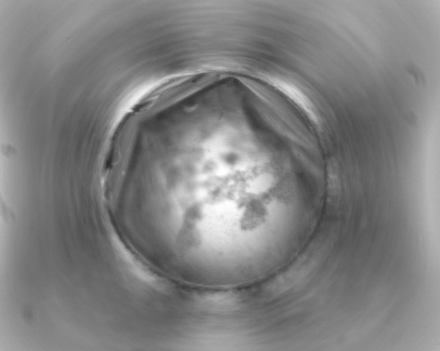 X0000090891047200708101359