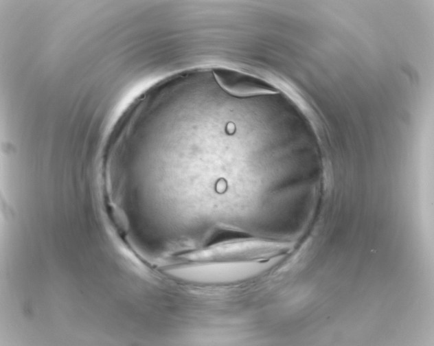 X0000090891048200708101359