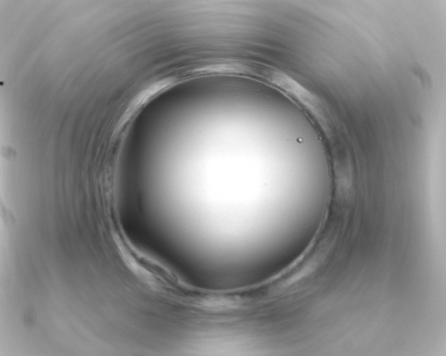 X0000090891049200708101359