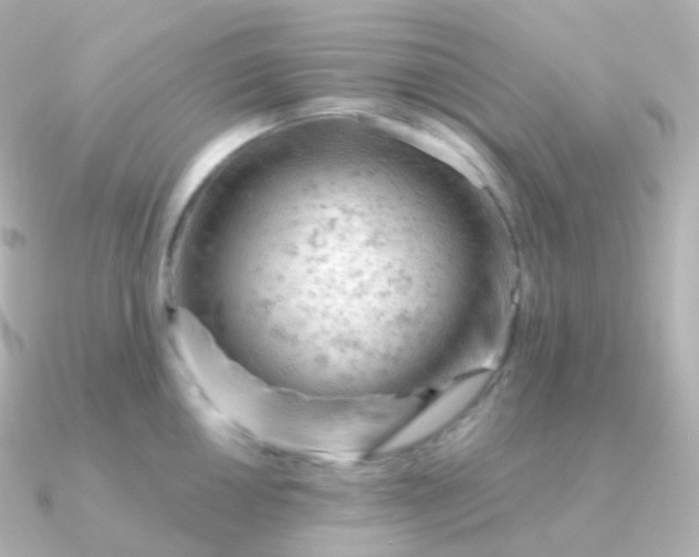 X0000090891050200708101359