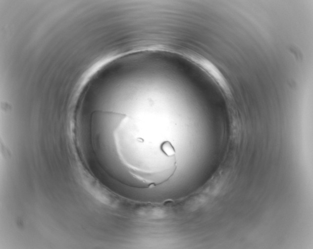 X0000090891051200708101359