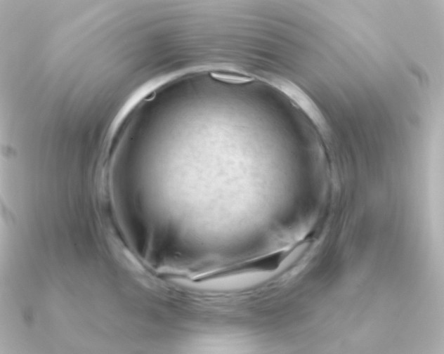 X0000090891052200708101359