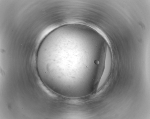 X0000090891053200708101359