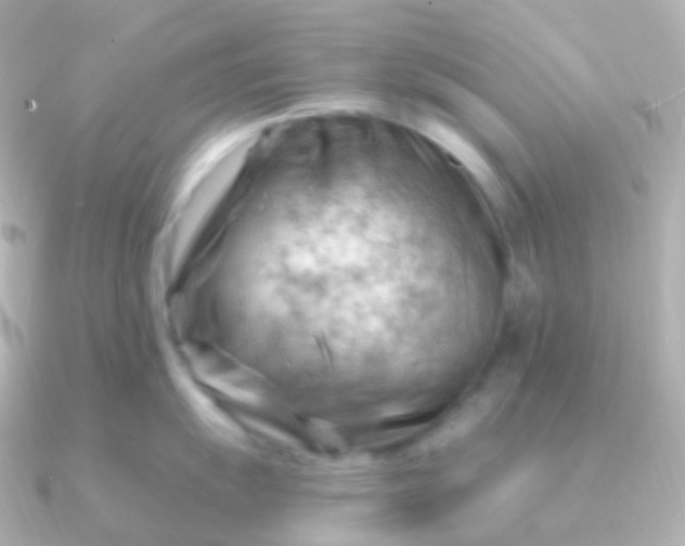 X0000090891055200708101359