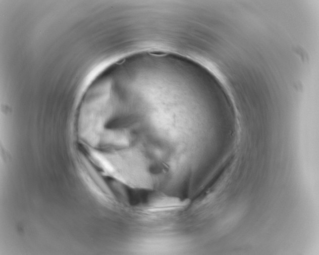 X0000090891056200708101359