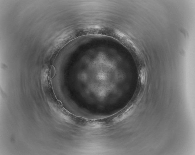 X0000090891059200708101358