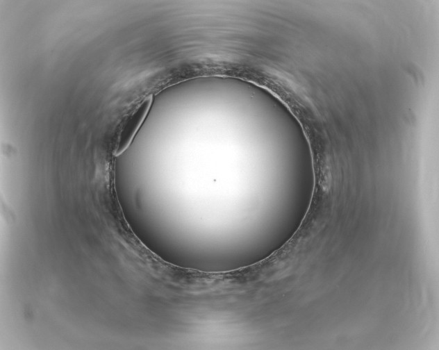 X0000090891061200708101358