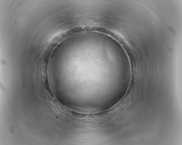 X0000090891063200708101358