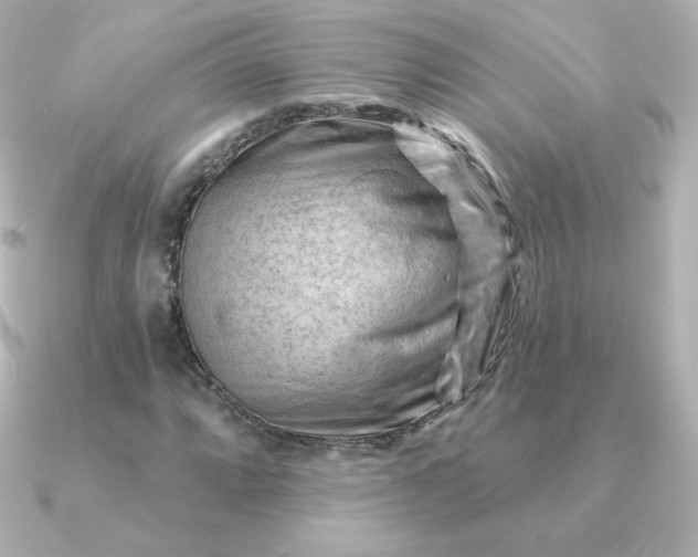 X0000090891064200708101358