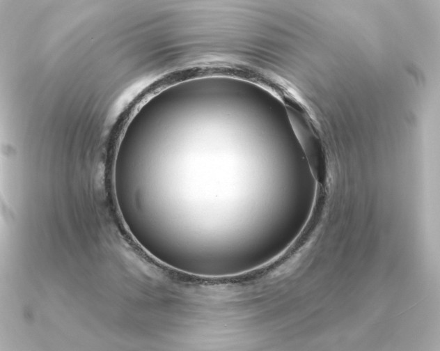 X0000090891066200708101358