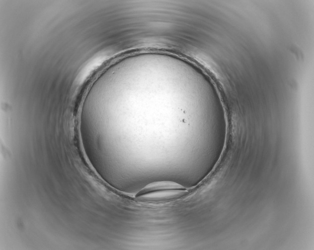 X0000090891067200708101358