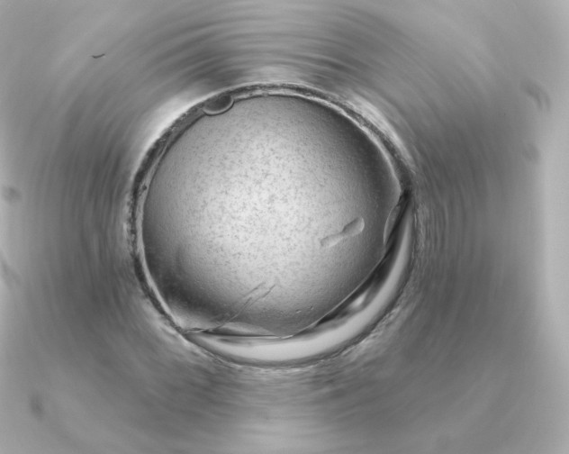 X0000090891068200708101358