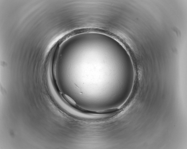 X0000090891069200708101358