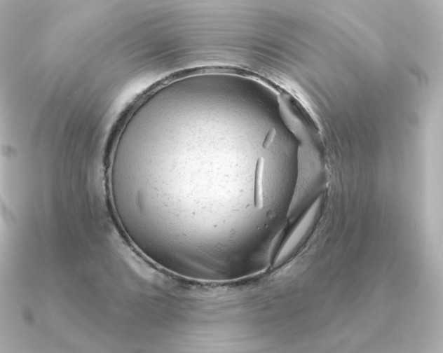 X0000090891072200708101358