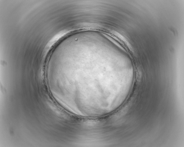 X0000090891074200708101358