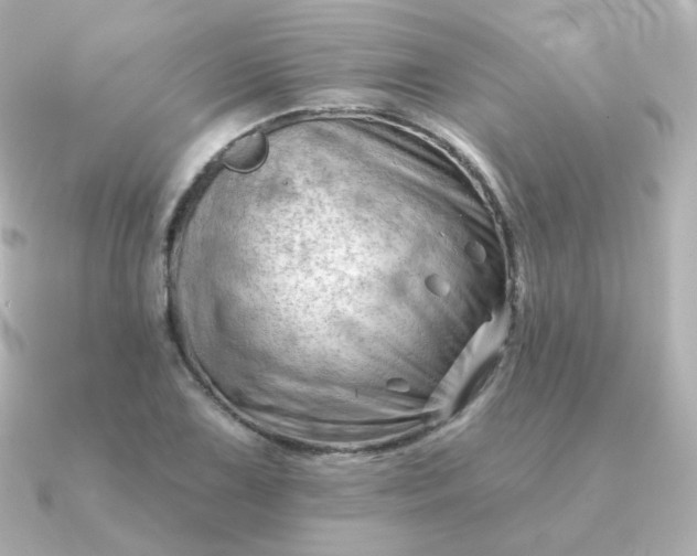 X0000090891075200708101358