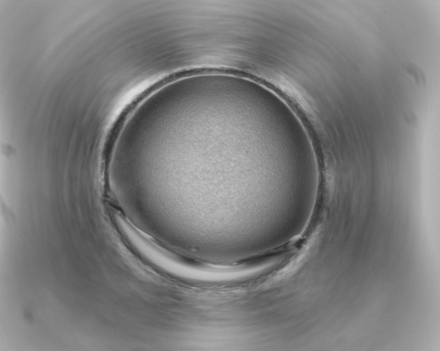 X0000090891077200708101358