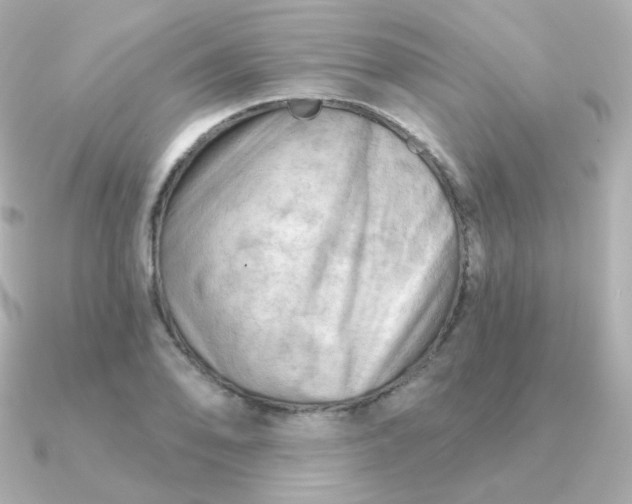 X0000090891078200708101358