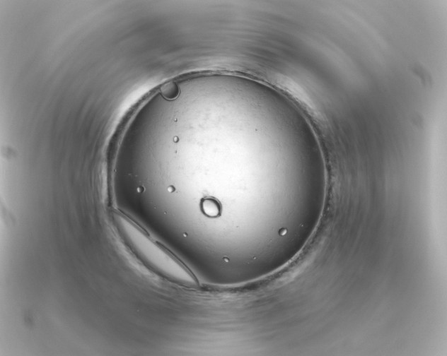 X0000090891079200708101358