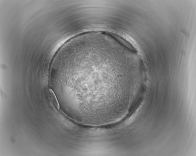 X0000090891081200708101358