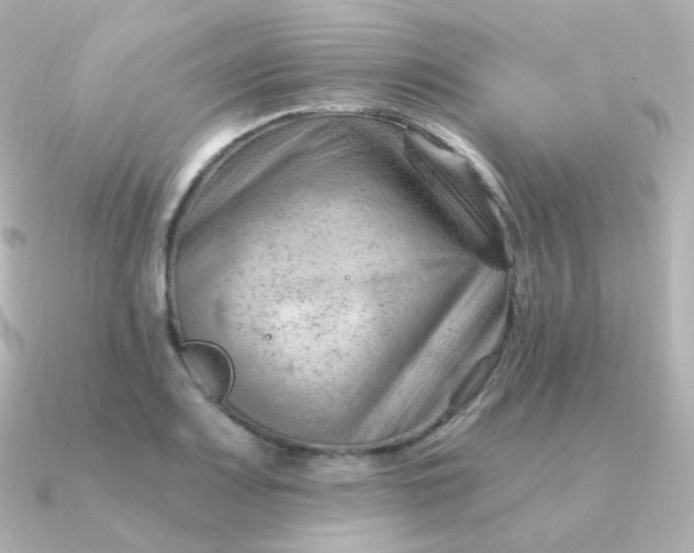 X0000090891083200708101358