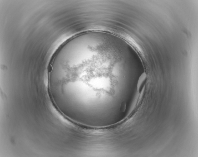 X0000090891084200708101358