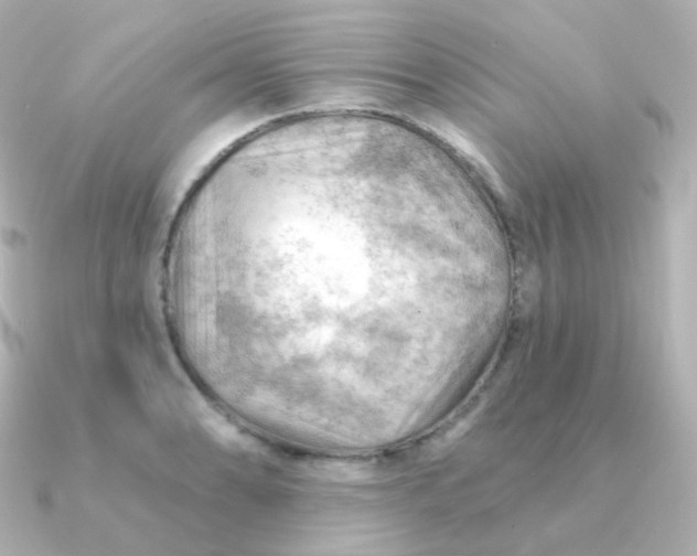 X0000090891086200708101358