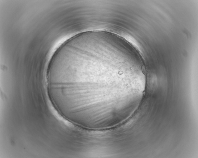 X0000090891088200708101358