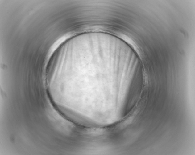 X0000090891090200708101358